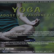 Prof. dr Predrag Nikić, predavanje u Domu kulture u Čačku, 2011.