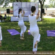 Joga Savez Srbije na Festivalu rekreacije, 2012