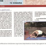 Intervju, Brankica Šurlan,”Ana”, 2004.