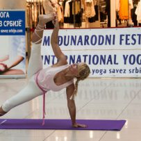 Treći beogradski festival Art joge, 2017.