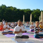 Međunarodni joga kamp Pranava 2015, Joga savez Srbije